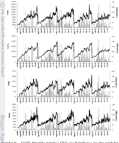 Grafik dinamika populasi Chilo sacchariphagus -() dan curah hujan 