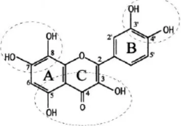 Gambar 11 Reaksi Scavenging DPPH* (radikal bebas) oleh flavonoid. 