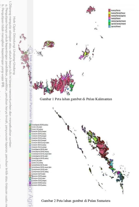 Gambar 1 Peta lahan gambut di Pulau Kalimantan 