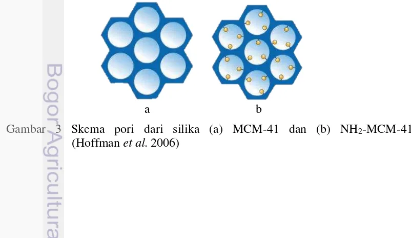 Gambar 3 Skema pori dari silika (a) MCM-41 dan (b) NH2-MCM-41  