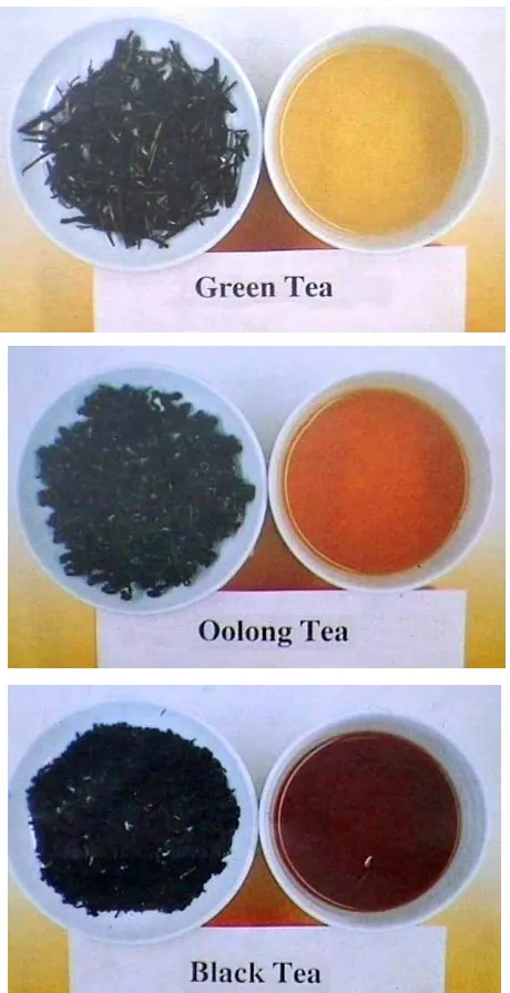 Gambar 2 Perbedaan warna seduhan teh berdasarkan proses pengolahan 