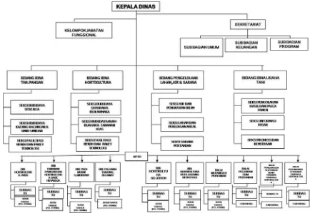 gambar struktur organisasi Dinas Pertanian Provinsi Sumatera Utara adalah: 