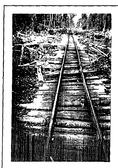 Gambar 2. Jalan reI timbunan di Hutan Rawa PT. Dexter Kencana Timber 