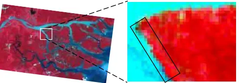 Figure 3.3  Example of Pixel Checking by Selected Area (About 1 Km) that have Specific Condition and Representative for Training Area  