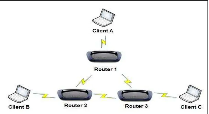 Figure 2.1: Wireless Mesh Network Topology 