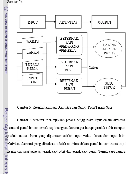 Gambar 5. Keterkaitan Input, Aktivitas dan Output Pada Ternak Sapi 