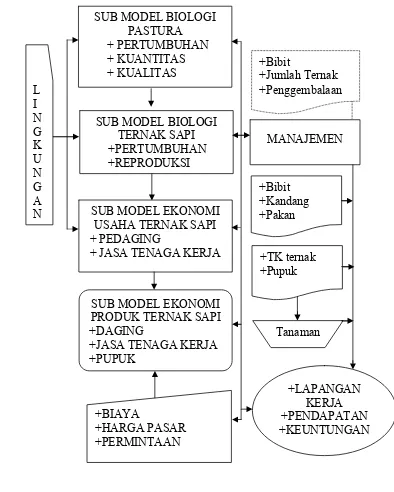 Gambar 6. Model Bioekonomi Ternak Sapi 