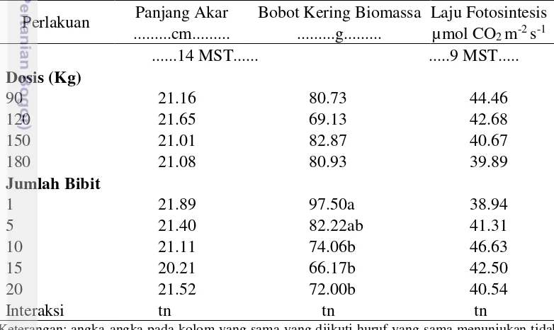 Tabel 7 Pengaruh dosis pupuk N dan jumlah bibit terhadap panjang akar, bobot 