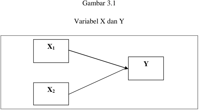 Gambar 3.1 Variabel X dan Y 