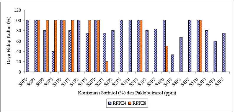 Gambar 10  Pengaruh kombinasi sorbitol dan paklobutrazol terhadap daya hidup kultur (%) pada akhir bulan ke-3 regenerasi pasca penyimpanan 4 bulan (RPPE4) dan 8 bulan (RPPE8)
