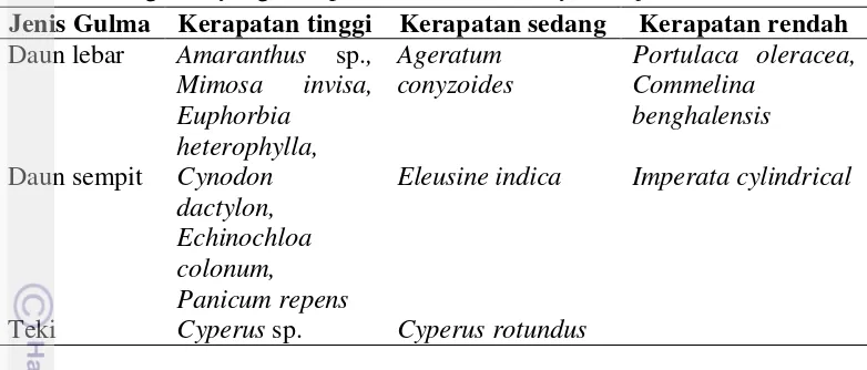 Tabel 8  Jenis gulma yang terdapat di lahan tebu wilayah kerja PG Madukismo 