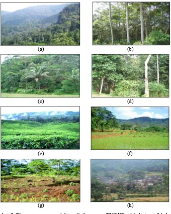Gambar 7 Tipe penggunaan lahan di kawasan TNGHS: (a) hutan; (b) hutan tanaman; (c) kebun campuran; (d) kebun karet; (e) kebun teh;            (f) sawah; (g) ladang; (h) pemukiman