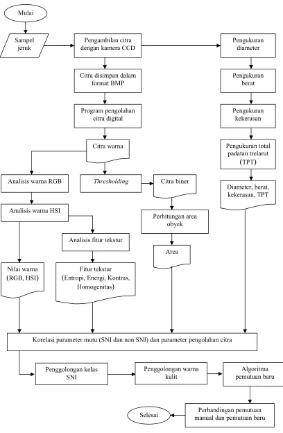 Gambar 12  Diagram alir penelitian. 