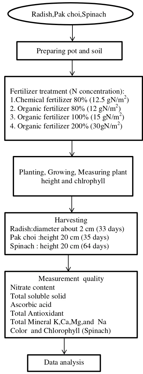 Figure 3  Flow chart of research about quality radish, pak choi and spinach at        harvesting with different fertilizer application 