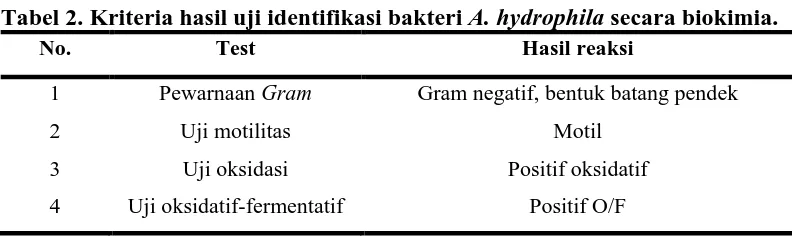 Tabel 2. Kriteria hasil uji identifikasi bakteri A. hydrophila secara biokimia. No. Test Hasil reaksi 