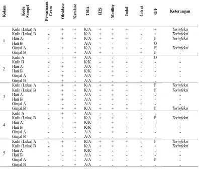 Tabel 4. Sifat Bakteri yang ditemukan pada uji biokimia ulangan I 