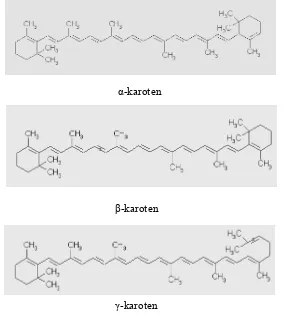 Gambar 1. Struktur kimia beberapa karotenoid (Klaui dan Bauernfeind 1981) 