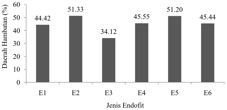 Gambar 8.  Hubungan daerah hambatan 7 hsi pada beberapa jenis endofit. Keterangan: E1: Penicillium sp., E2: Trichoderma spp.,                        E3: Aspergillus sp1., E4: Trichocladium sp., E5: Aspergillus sp2., E6: Nigrospora sp