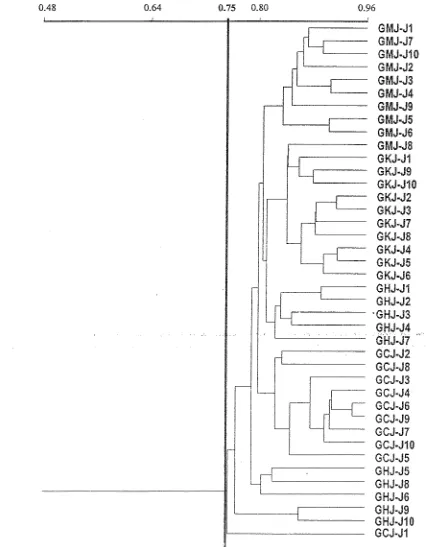 Gambar 2. Dendogram kesamaan genetik antar populasi GMJ, GKJ, GHJ dan GCJ yang 