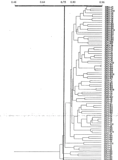 Gambar 4. Dendogram kesamaan genetik antar populasi GMJ, GKJ, GHJ dan GCJ, baik yang berasal dari Jombang maupun yang dikoleksi oleh BALITKA 
