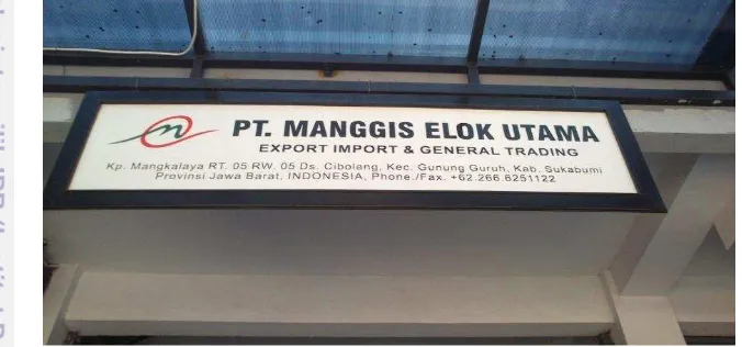 Gambar 5 Eksportir PT. Manggis Elok Utama 