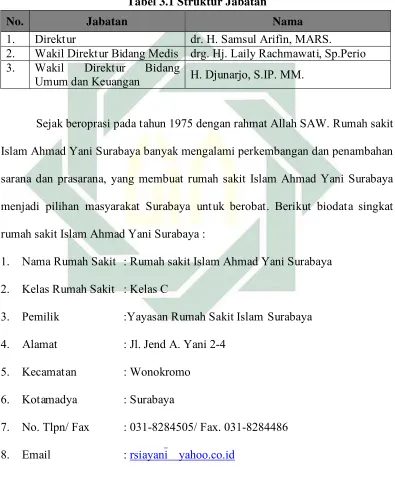 Tabel 3.1 Struktur Jabatan 