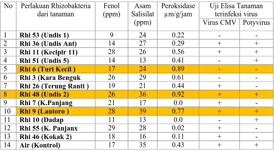 Tabel 9. Kadungan senyawa Fenol, asam Salisilat, Peroksidase serta tanaman terserang VirusCMV dan Potyvirus pada tanaman kedele  setelah diaplikasi dengan Rhizobakteriapelarut Fosfat.