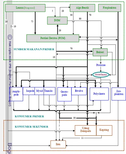 Gambar 6. Skema hubungan trofik dalam sistem padang lamun (seagrass) di Teluk 