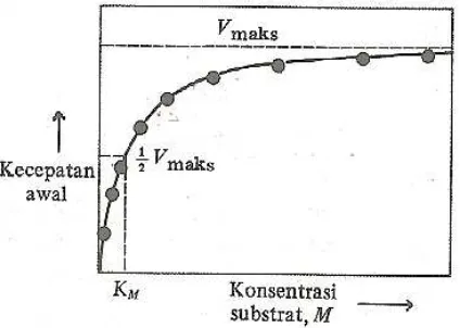 Gambar 6. Pengaruh Konsentrasi Substrat Terhadap Kecepatan Reaksi 