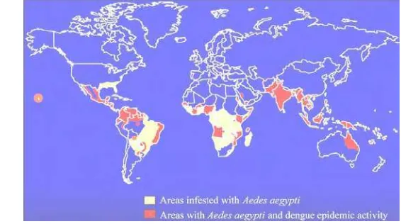 Gambar 7.  Distribusi geografis nyamuk Aedes dan penyakit Demam Berdarah di 