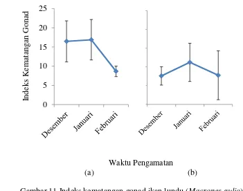 Gambar 11 Indeks kematangan gonad ikan lundu (Macrones gulio)  (a) 