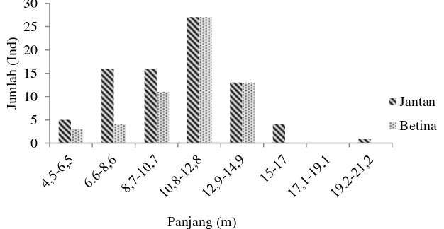Gambar 6 Jumlah tangkapan paus sperma(Physeter macrocephalus) 