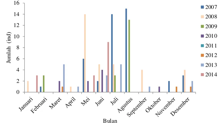 Gambar 8 Jumlah tangkapan per bulan paus sperma (Physeter macrocephalus) periode 2007-2014 