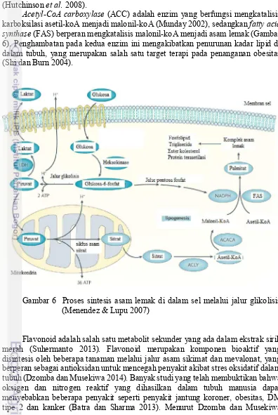 Gambar 6  Proses sintesis asam lemak di dalam sel melalui jalur glikolisis 