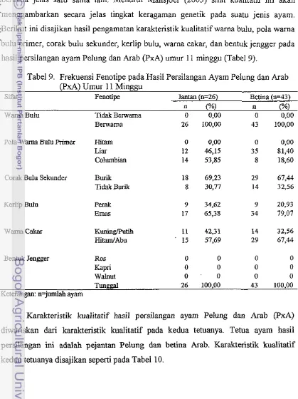 Tabel 9. Frekuensi Fenotipe pada Hasil Persilangan Ayam Pelung dan Arab 