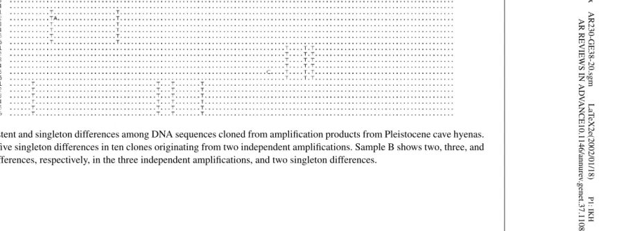Figure 2Consistent and singleton differences among DNA sequences cloned from ampliﬁcation products from Pleistocene cave hyenas.Sample A shows ﬁve singleton differences in ten clones originating from two independent ampliﬁcations