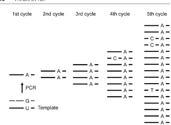 Figure 3Schematic illustration of how consistent and singleton differences ariseduring an ampliﬁcation starting from a single DNA molecule