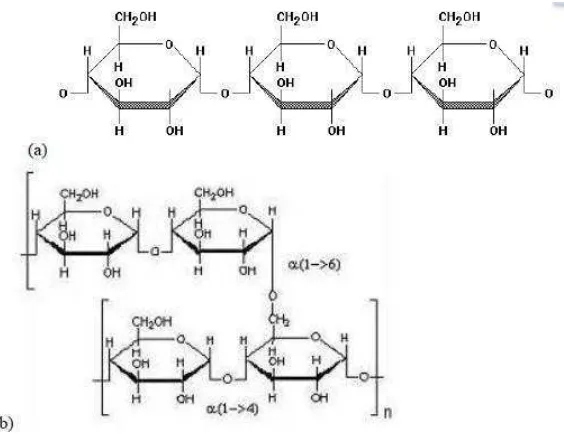 Gambar 1. Strukur (a) amilosa dan (b) amilopektinSumber: Wijaya et al. (2012)