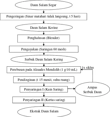 Gambar 3. Proses pembuatan ekstrak daun salam (Murhadi et al., 2007dan Dewi, 2012) yang telah dimodifikasi