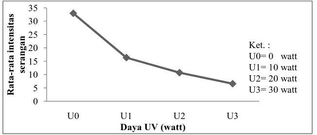 Gambar 4.3 Pengaruh daya UV terhadap rata-rata intensitas serangan  Colletotrichum sp