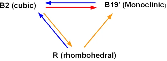 Figure 2.2: Two transformation paths in NiTi alloys 
