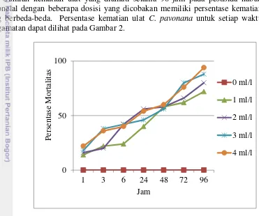 Gambar 2 Grafik persentase mortalitas ulat C. pavonana pada Sitronelal 