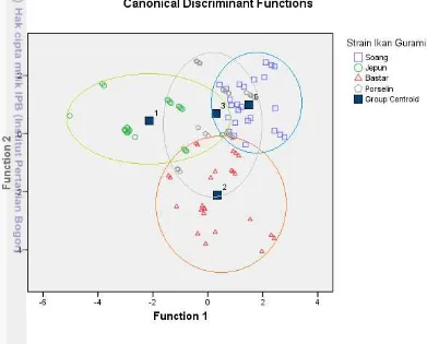 Gambar 3 Hasil analisis diskriminan pada morfometrik. 