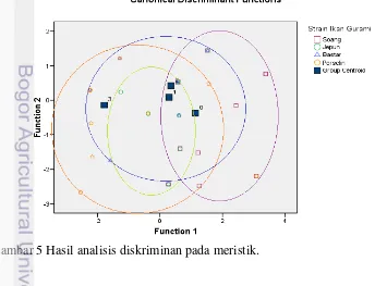 Gambar 4 Hierarchichal Component Analysis berdasarkan data meristik ukuran 