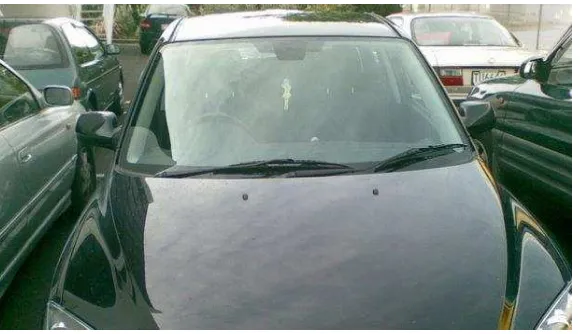 Figure 1: Windscreen of a car 