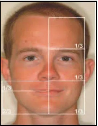 Gambar 4. Proporsi vertikal wajah22 