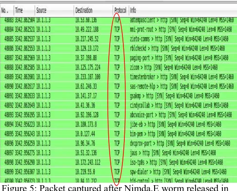 Figure 5: Packet captured after Nimda.E worm released in IPv4 network 