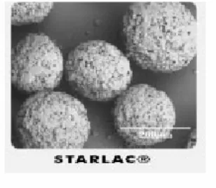 Gambar 2. Partikel StarLac® 