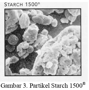 Gambar 3. Partikel Starch 1500® 