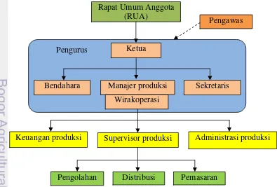 Gambar 12  Struktur organisasi koperasi pengolahan VCO 